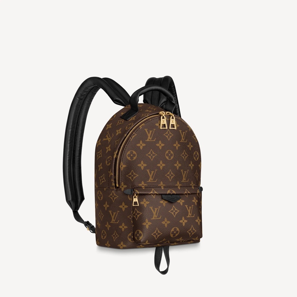 Louis Vuitton Palm Springs
Monogram PM Brown Backpack